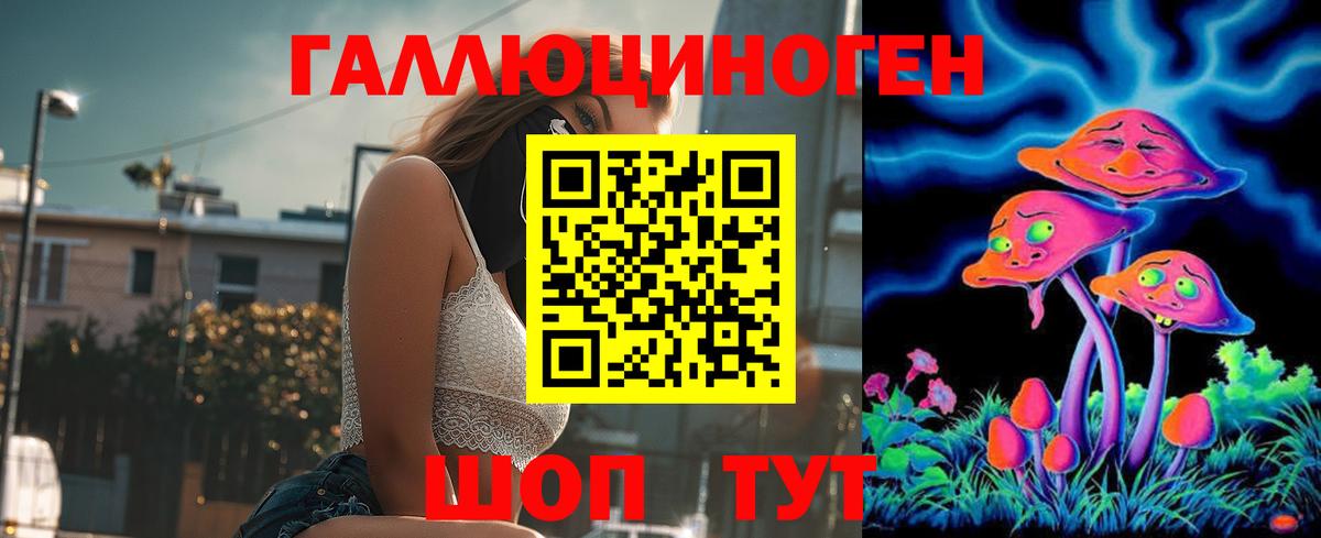 Нерюнгри  Псилоцибиновые грибы Psilocybe  Вход с VPN 